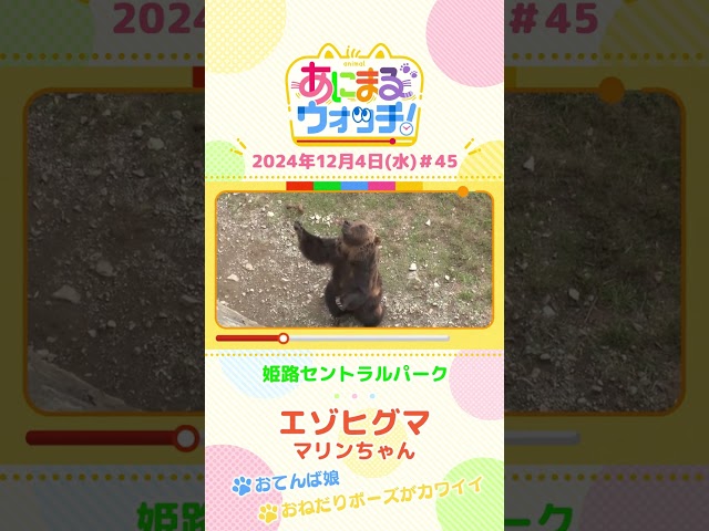 動画イメージ