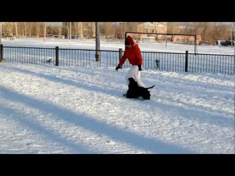 Happytail's Home Danki Monkey / 11 months