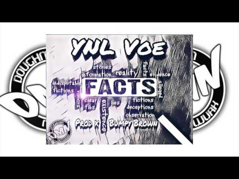 YNL VOE - FACTS  (PROD  X BUMPY BROWN) #dmn audio