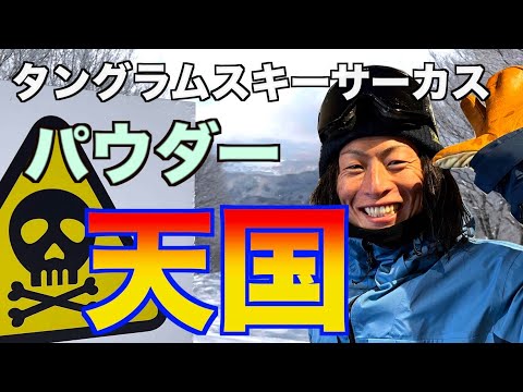 Video: 【パウダーを滑りたくなる動画】タングラム斑尾 タングラムスキーサーカス 長野県【田中隆太 ゲレンデリポート】