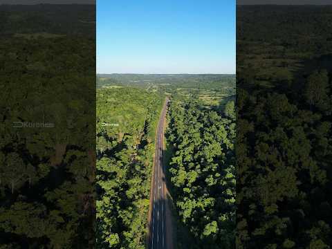 📍Ruta Nacional 14 | Cerro Azul, Misiones #rutasypaisajes #drone #dji #misiones #turismo
