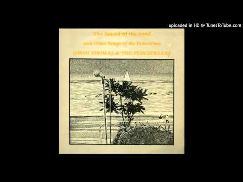 David Thomas & The Pedestrians - 01 Big Dreams