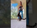 From Dolphins to Cats: Former Dolphin Trainer Unleashes the Backflip Magic!