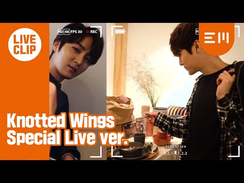 AIVAN - Knotted Wings | Special Live ver.