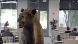 Geico - Hump Day REMIX 