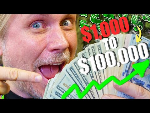 , title : 'HOW to TURN $1000 into $100,000 BREEDING SNAKES!! | BRIAN BARCZYK'