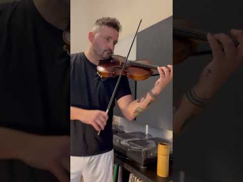 Ennio Morricone - Gabriel’s Oboe (The Mission) - Violin #enniomorricone #violin #violinist #violino