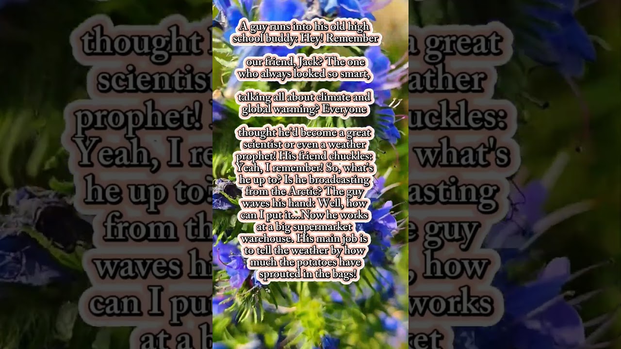 The Weather Prophet😎#funnyquotes #quotes  #subscribe #newvideo #funny