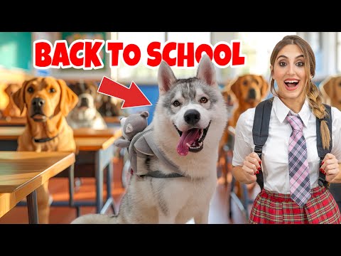 BACK TO SCHOOL: IL PRIMO GIORNO DI SCUOLA DEL MIO CUCCIOLO DI CANE 🐶📚🚌 | MARTY E YUKO