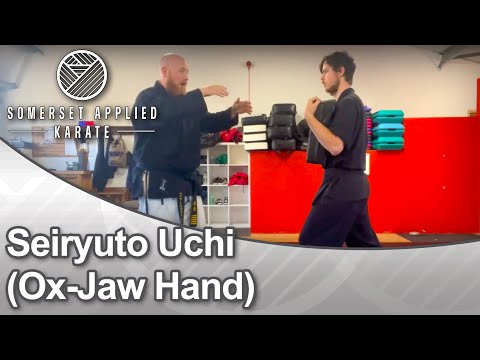 Seiryuto Uchi (Ox-Jaw Hand)