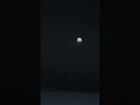 YouTube 썸네일