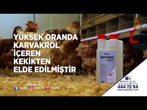 , title : 'Tavuklar için Doğal Antibiyotik - Egenin Oregano Liquid / Royal İlaç'