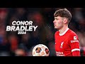 Conor Bradley - Time to Shine