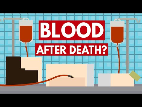死後に献血はできるのか？- ブロッコ1号さんへ (Can You Give Blood After Death? - Dear Blocko #1)