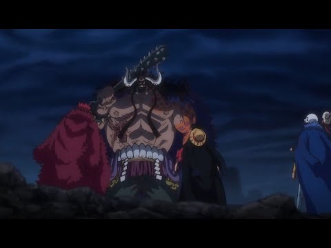 One Piece Wiki Anime Amino One Piece Wiki Anime Amino