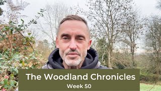 The Woodland Chronicles – Week 50 – The Path Revealed