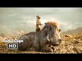 The Lion King (2019) - Simba Plan Scene Tamil [14/19] | MovieClips Tamil