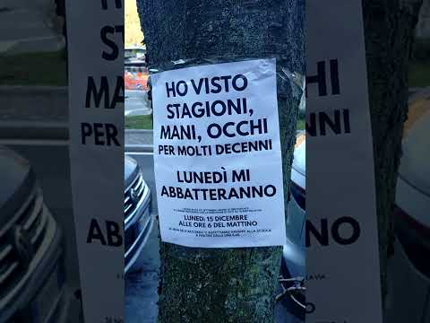 Generico luglio 2022