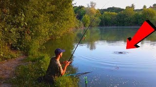 Ловить карпа на горох и волос летом