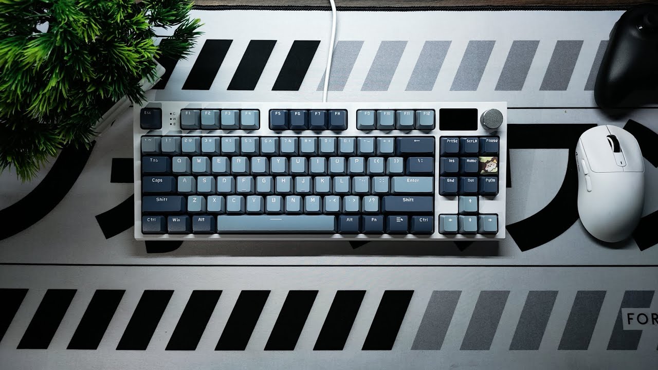 Attack Shark K86 - 5 Meses de uso