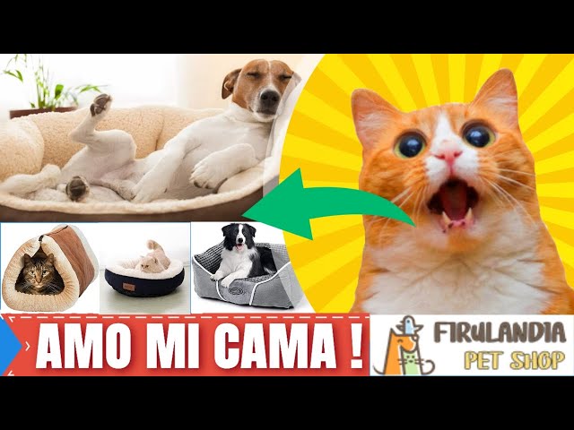 Vídeo relacionado con Ferplast Cama para Perros y Gatos, Cojín para Perros pequeños, Cojin para Gatos, Alfombra para casetas y Coches - Lavable - en Algodón con Suave Acolchado, 55 x 36 cm. Cielo Azul