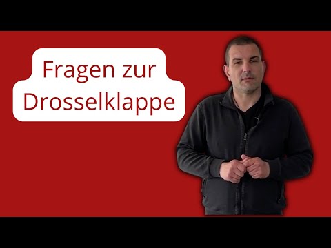 Fragen zur Drosselklappe bei einem Kaminofen