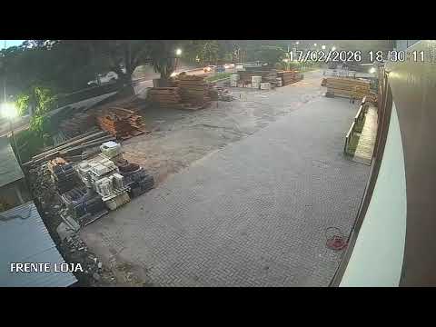 Vídeo mostra ônibus de turismo batendo contra uma árvore na BR-262