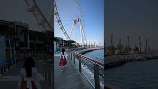 The world’s biggest and tallest ferris wheel 🎡 📍Ain Dubai