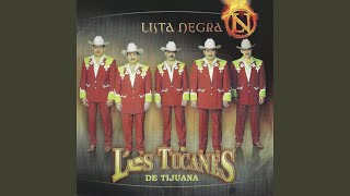 Quisimos Calar La Tierra