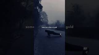 ⚔️ "Centuries" - Fall Out Boy | 🎶🔥 Epic Anthem of Legends | Powerful Lyrics Video 🎤🏆  #musiclyrics