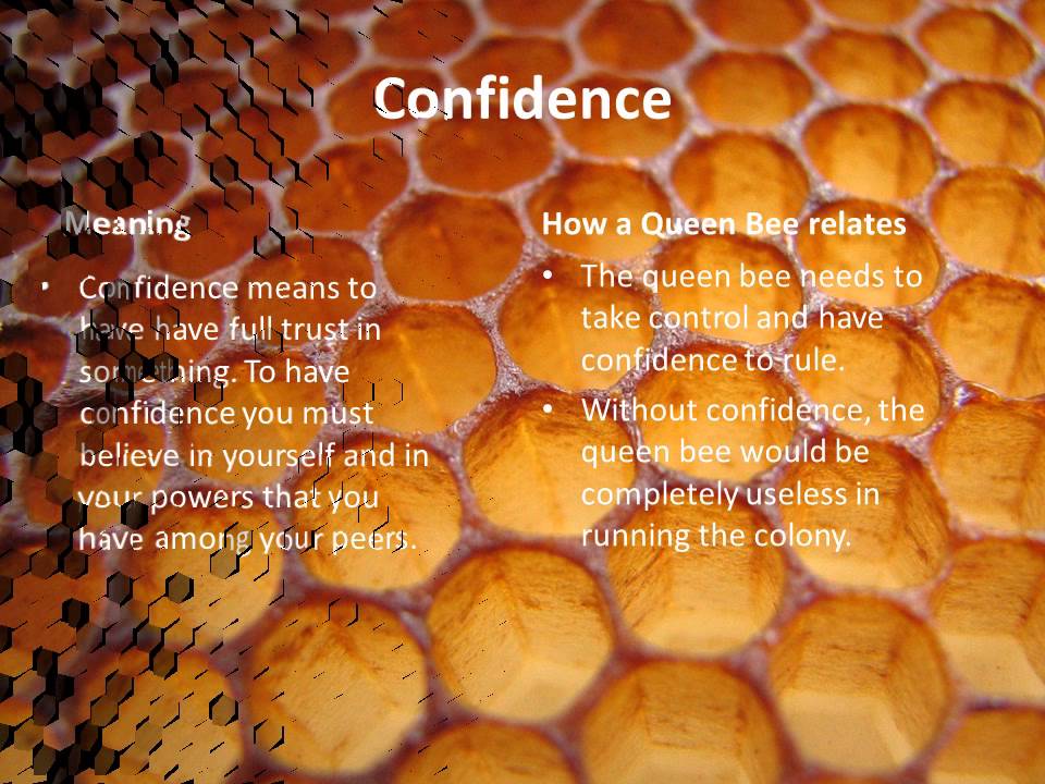 Bee a Leader powerpoint