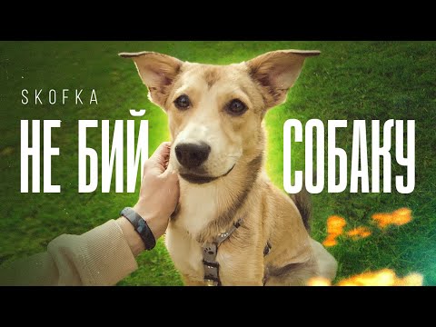 SKOFKA - НЕ БИЙ СОБАКУ!