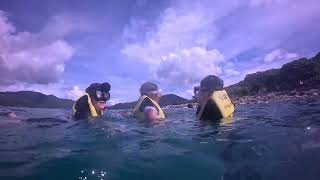 한국 친구들이 나트랑 섬에서 반나절 스노클링을 했습니다.