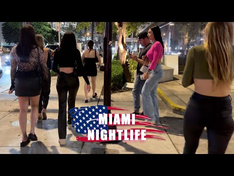 Miami, Florida Beautiful Nightlife 2024