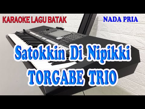 SATOKKIN DI NIPIKKI [KARAOKE BATAK] TORGABE TRIO ll NADA PRIA C=DO