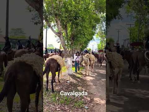 #cavalgada #brasil #itupiranga #para