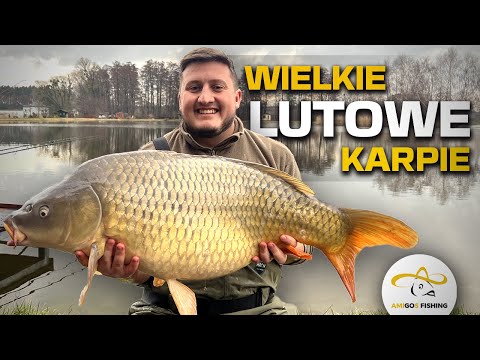 Jak łowić WIELKIE KARPIE w LUTYM? - Pierwsza zasiadka 2024 na Łowisku Gajdowe i nowe PB!
