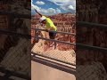 MAN ALMOST FALLS INTO THE GRAND CANYON 😱😳🤦‍♂️ | LARAPTV #grandcanyon #pranks #notfunny