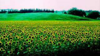 Ben Cocks - So Cold.