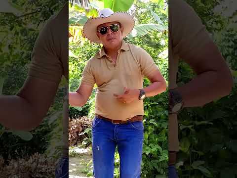 El sumbaito .Javier Jaime.El serrucho.