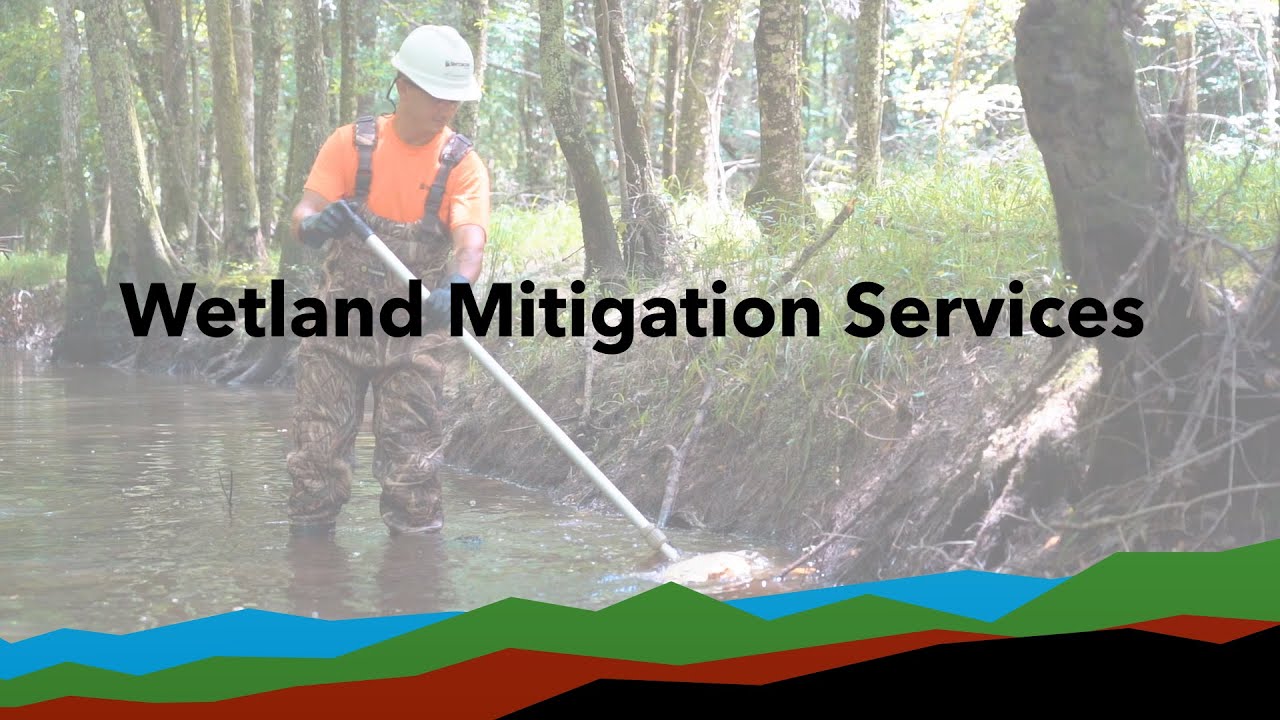 Wetland Mitigation Services