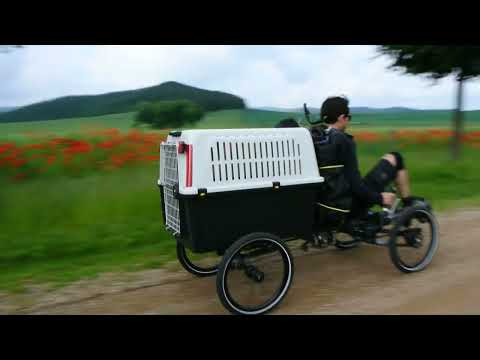 Pony4 - cargo bike for dog