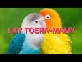 NJAKATIANA TOERA MAMY LYRICS