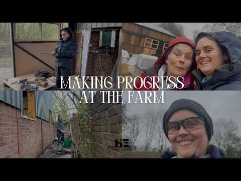 WORK HAS STARTED ON THE ARENA | PROGRESS AT THE FARM | MIRI HACKETT