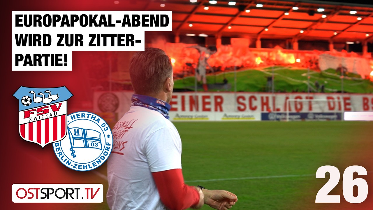 FSV Zwickau vs Hertha Zehlendorf Highlights