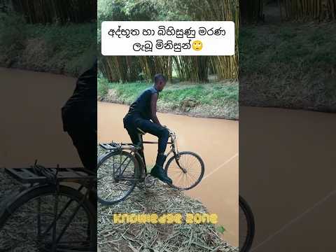 මොන දේ කළත් වටපිටාව ගැනත් අවධානයෙන් ඉන්න ඕනේ මේකයි😞#death #sinhalafacts #knowledge