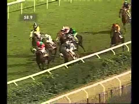 Premio Carlo Aloisi ex Umbria 2012 (GR 3)