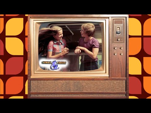 afbeelding Siskel & Ebert (Best Films of 1976) - A*P*E, Midway, Network, Rocky, Stay Hungry, Taxi Driver,