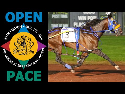 2018 Breeders Crown - McWicked - Open Pace