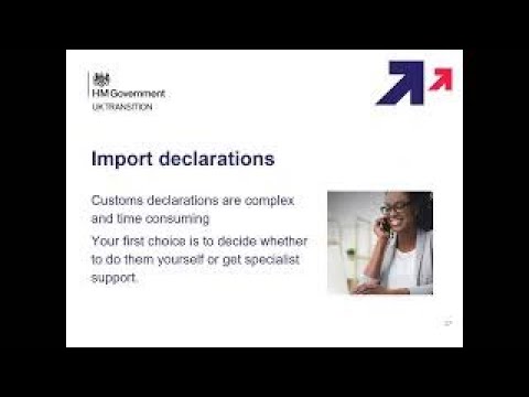 Customs Import Declarations: an overview